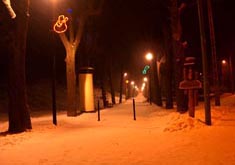 G��wna aleja spacerowa