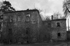 Ruiny pa�acu w Wirach