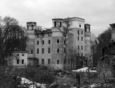 Ruiny paacu w Wojanowie