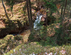 Potok w okolicach Grzmi�cej